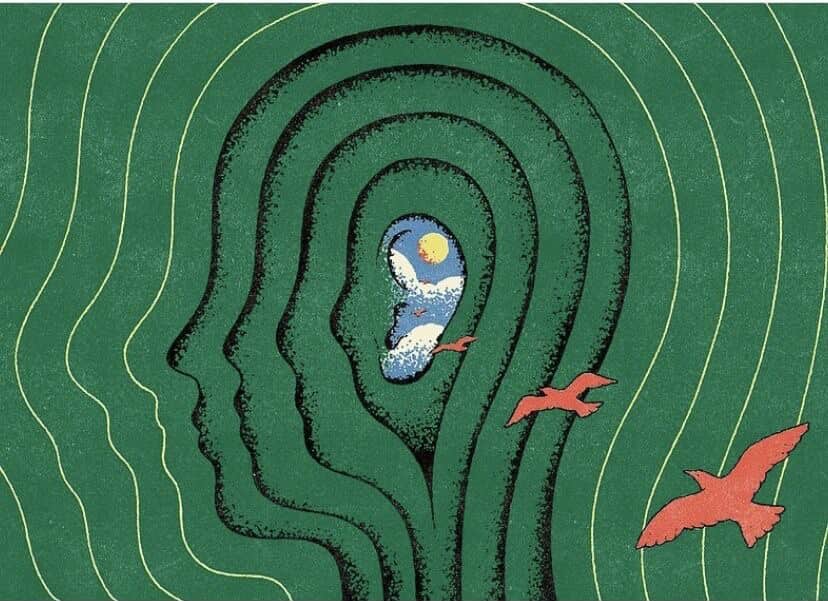 Image 06 of Gliss Riffer