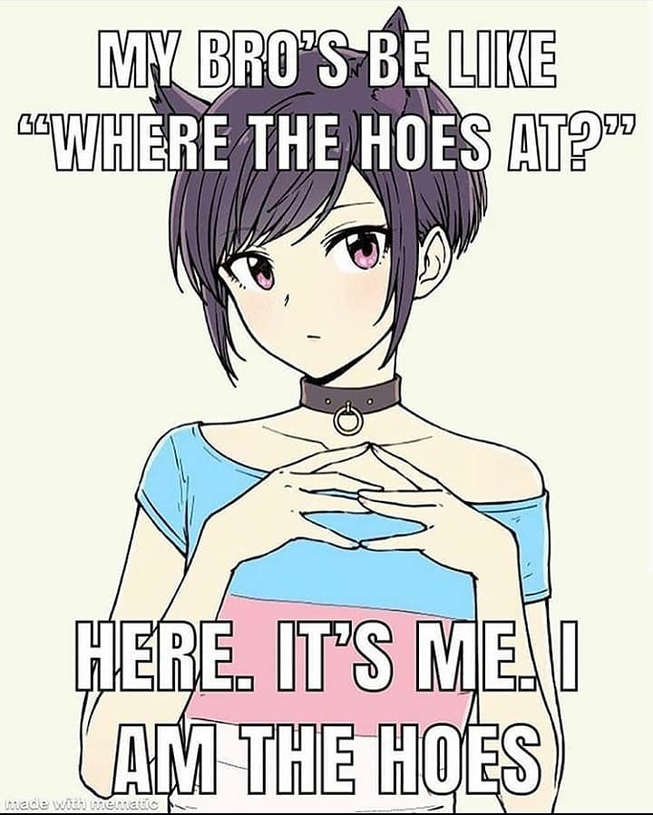 Meme